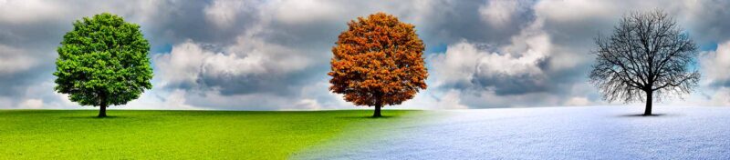 De Spirituele Betekenis van de Vier Jaargetijden - Reiki Perspectief